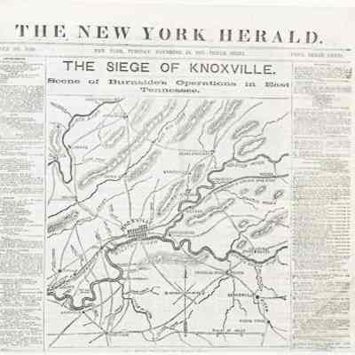 Newspaper
