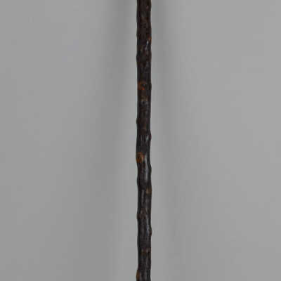 Cane