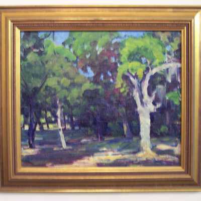 Untitled [cluster of trees with heavy shadows]