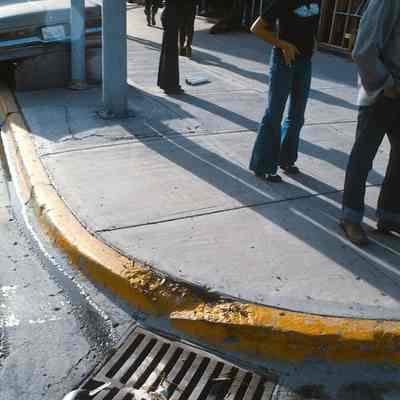 Fish in Sewage Drain