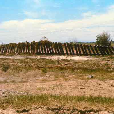 Uprooted Tracks