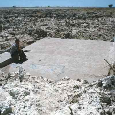 Wilford Left Barren