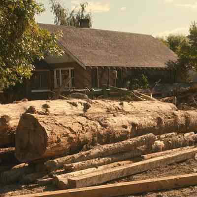 Sawmill Logs