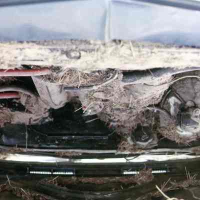 Under Car Bonnet