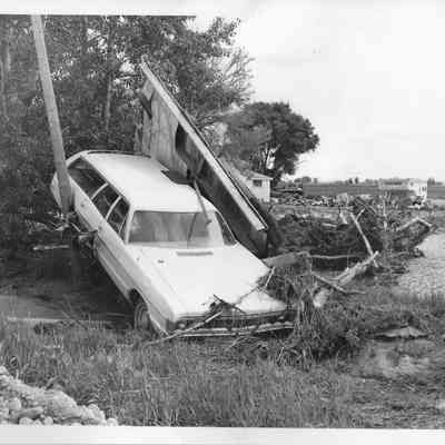 Car in tree