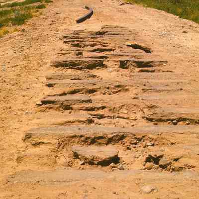 Trackless Road