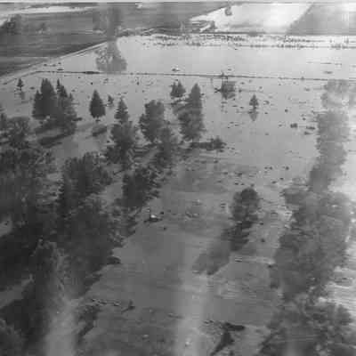 Flooded Forest And Farms