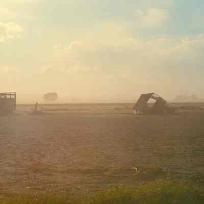 Shifting Dust