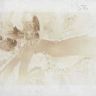 Aeiral Shot of A River Delta