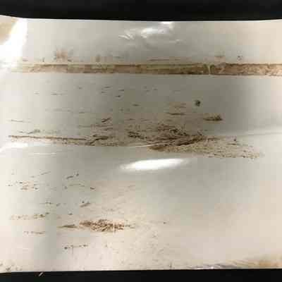 Faded Photo of Flooding in flood Plain