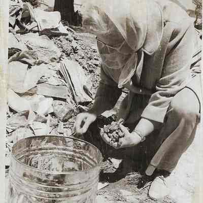 Mrs. Udell Sifting Through Debris