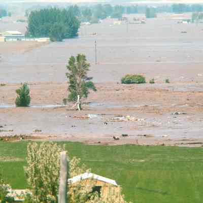 Mill Hollow Devastated