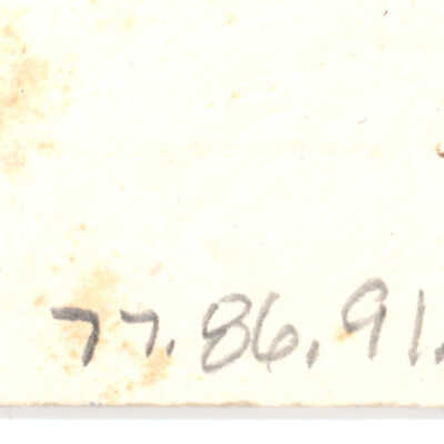77.86.91.10_2