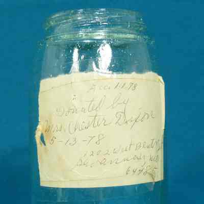 Jar, Preserving