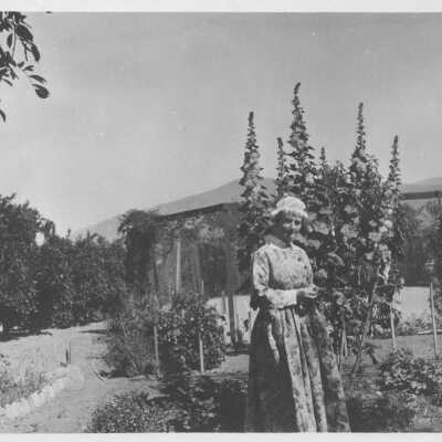 1920 The Californian