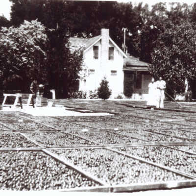 Doetsch residence on the Vasona Junction farm.