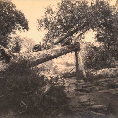 People posing on log above Los Gatos Creek