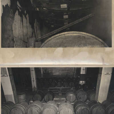 Novitiate winery