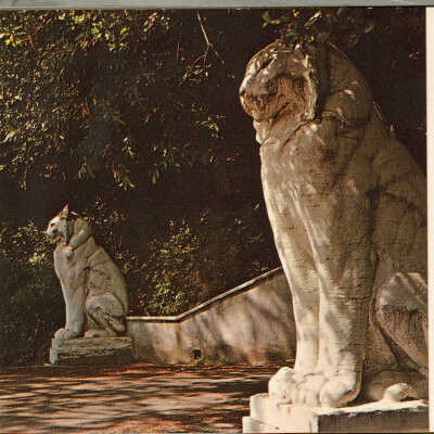 1922 Pair of concrete cats