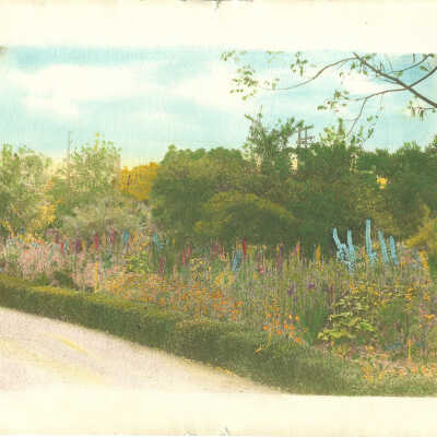 Garden and orchard