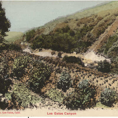 Los Gatos Canyon (Cats' Canyon)