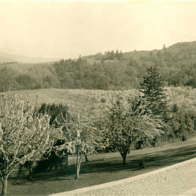 1920 Blossom time at Montezuma School