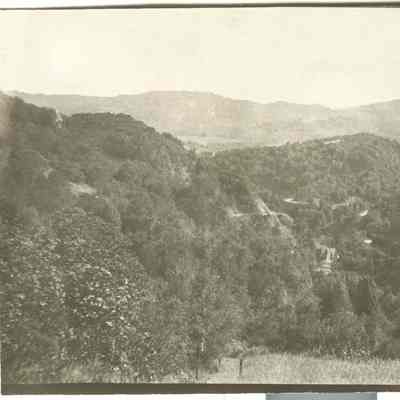 Alma Flume