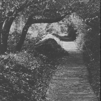 Lovers Lane, The Old Flume