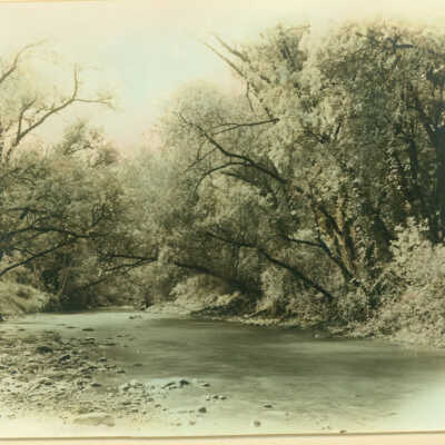 Los Gatos Creek