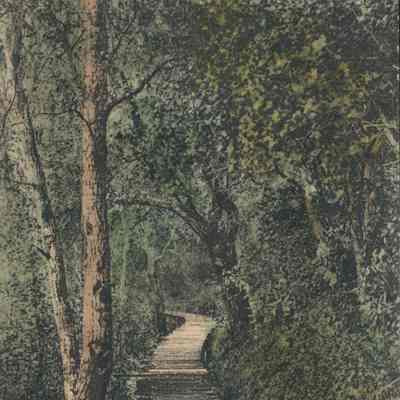 1871-1930's Flume