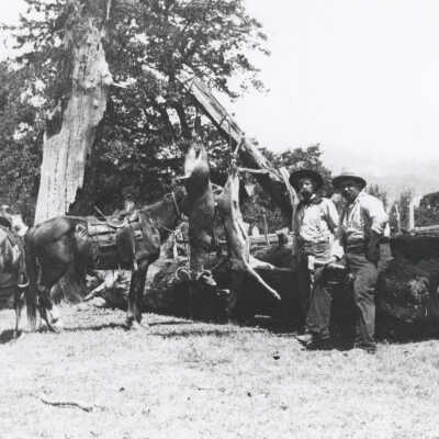Two men with horses by hanging deer