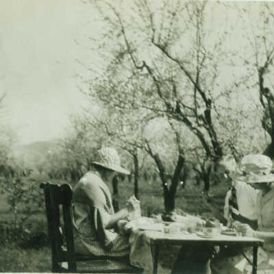 Afternoon Tea, Under the Blossoms