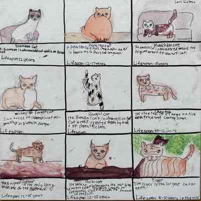 2022 - Cat Facts