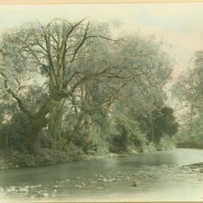 Los Gatos Creek