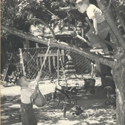 2 Boys playing on a tree