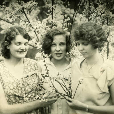 Saratoga Blossom Festival