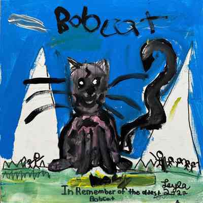2022 - Bobcat