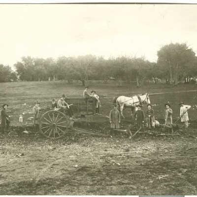 Novices working on the baseball field