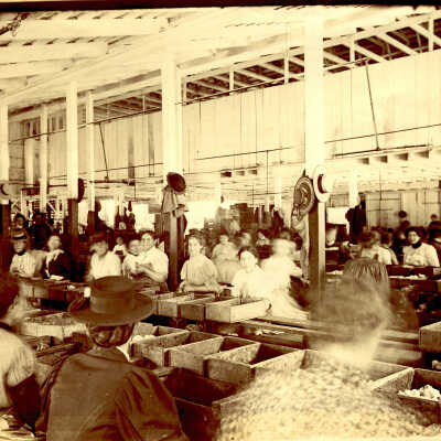 1900 Hooke Cannery preparation room