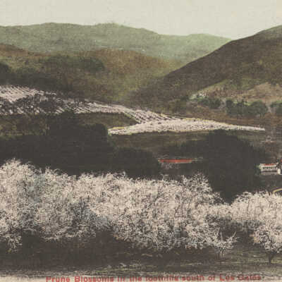 1920 Garden Spot of the World