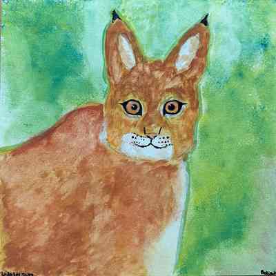 2022 - Bobcat