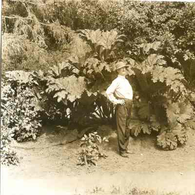 Tevis, Dr. Harry L.
