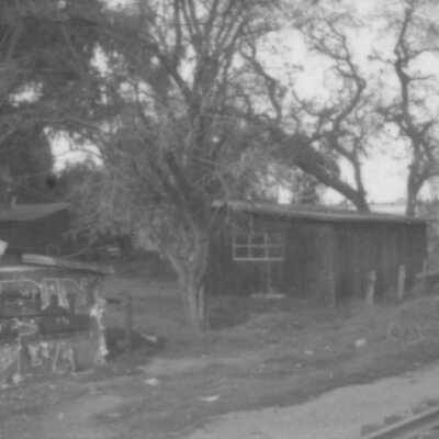 Backyard sheds