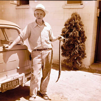 Fox, John