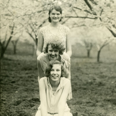 Saratoga Blossom Festival