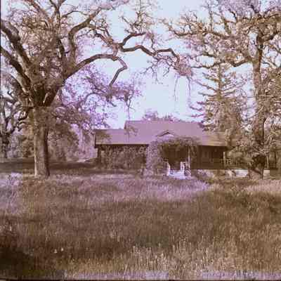 House - Unidentified