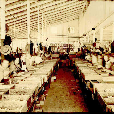 1900 Hooke Cannery women in assembly line