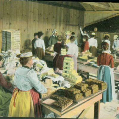 Packing figs