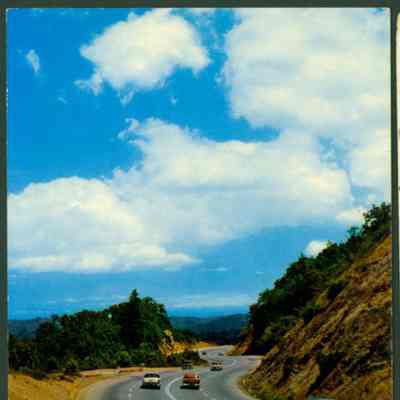 1955 Highway 17