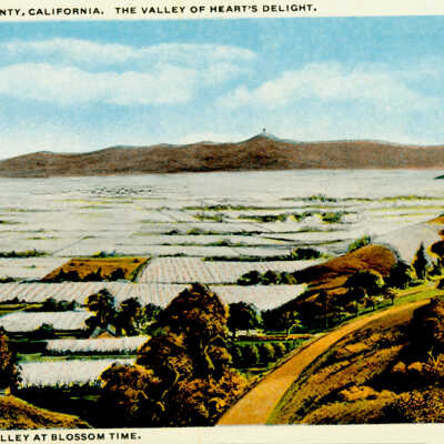 Santa Clara Valley at Blossom Time